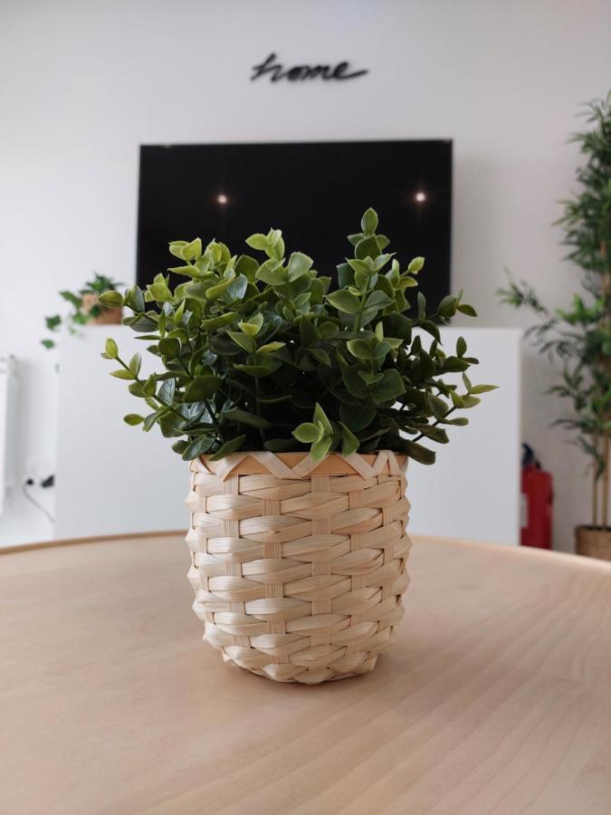 Beach Life Apartment, New, Elegant And Cozy نازاريه المظهر الخارجي الصورة